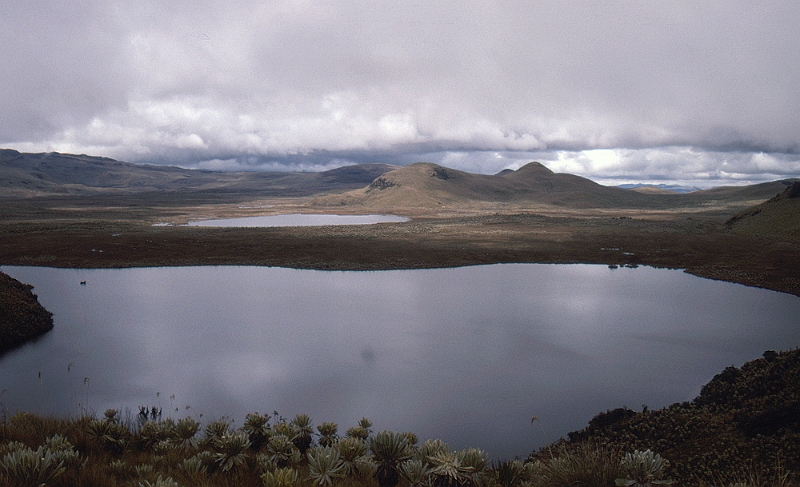 561_Bergmeer op 3600 m, paramo El Angel.jpg
